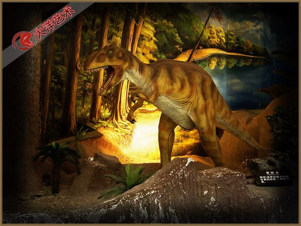 1999年江西装置实现