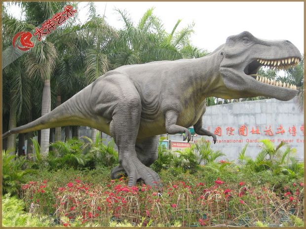 2007年丽江装置实现