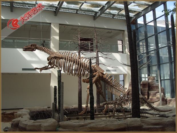 2011年 6 河北运城装置实现