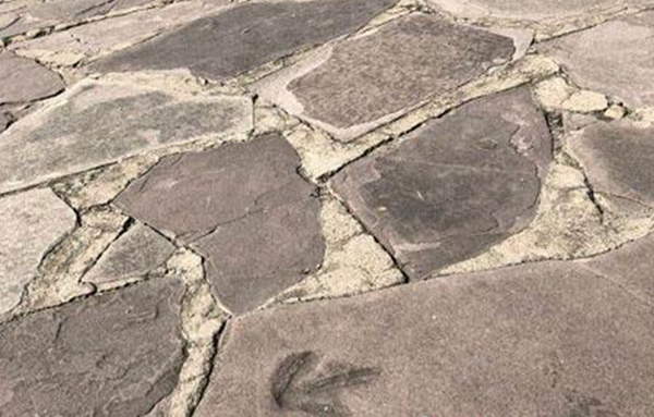 博天堂集团(btt)官网-918博天堂,人生就是博