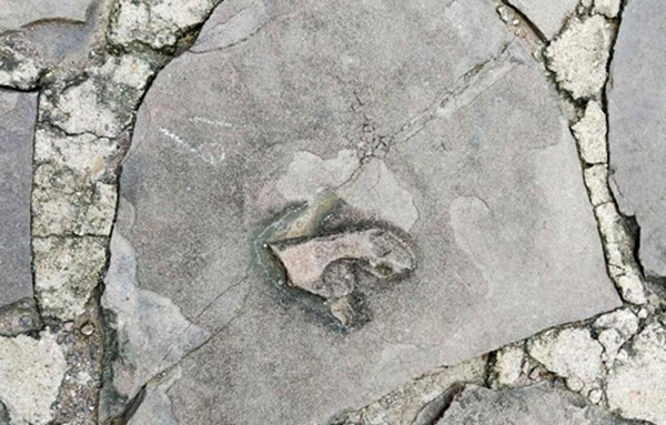 博天堂集团(btt)官网-918博天堂,人生就是博