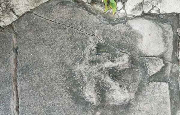 博天堂集团(btt)官网-918博天堂,人生就是博