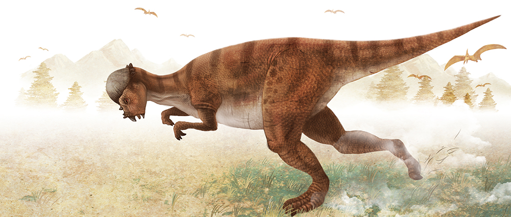 不成不看的5张优美恐龙艺术图