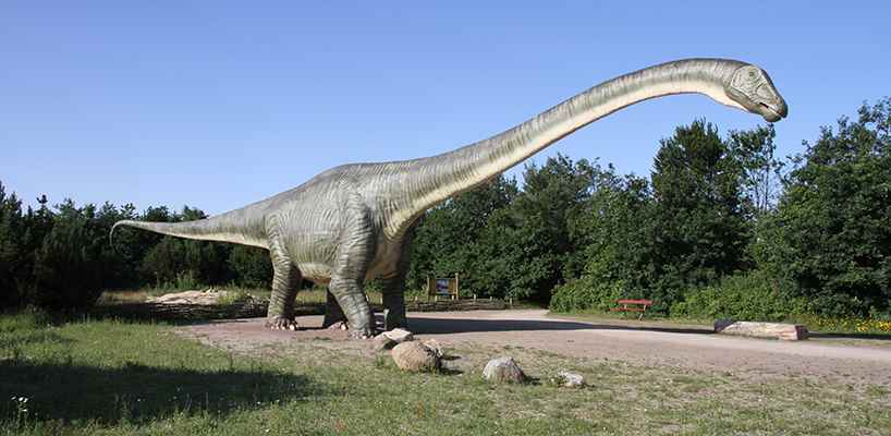 丹麦哥本哈根动物园