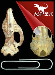博天堂集团(btt)官网-918博天堂,人生就是博