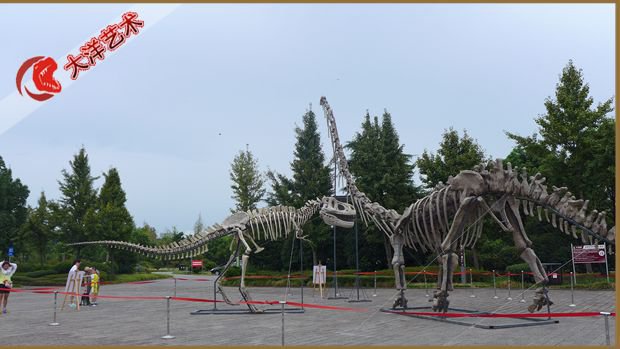 博天堂集团(btt)官网-918博天堂,人生就是博