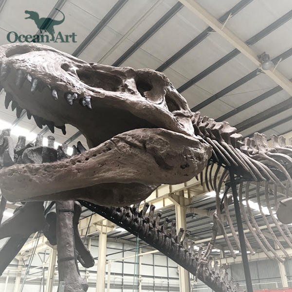 霸王龙骨架-仿真恐龙化石模型定造