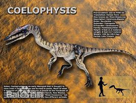 博天堂集团(btt)官网-918博天堂,人生就是博
