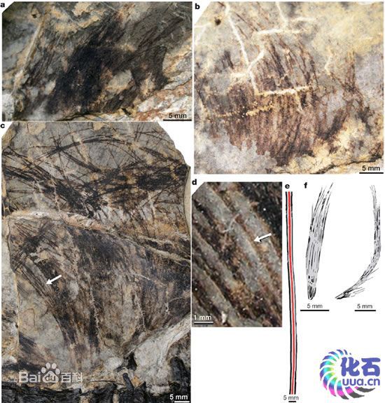 博天堂集团(btt)官网-918博天堂,人生就是博