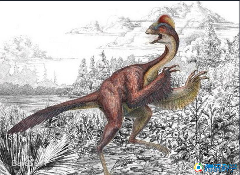 博天堂集团(btt)官网-918博天堂,人生就是博