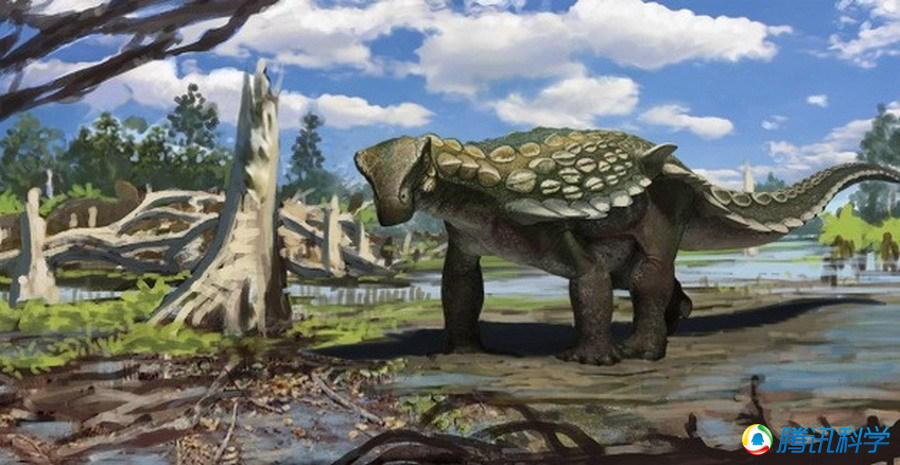 博天堂集团(btt)官网-918博天堂,人生就是博