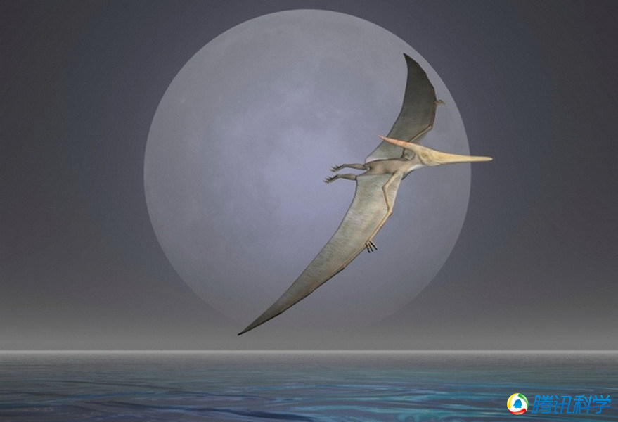 博天堂集团(btt)官网-918博天堂,人生就是博