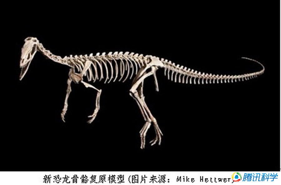 博天堂集团(btt)官网-918博天堂,人生就是博