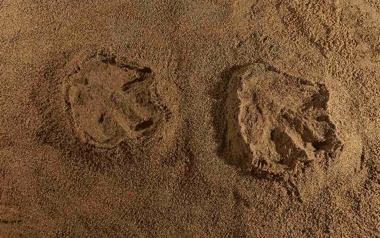 博天堂集团(btt)官网-918博天堂,人生就是博