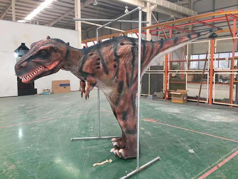 仿真恐龙皮套，，，，，，，，客户与皮套互动