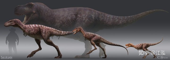 霸王龙毕生分为21个阶段，，，，，，其中两个阶段最为关键！