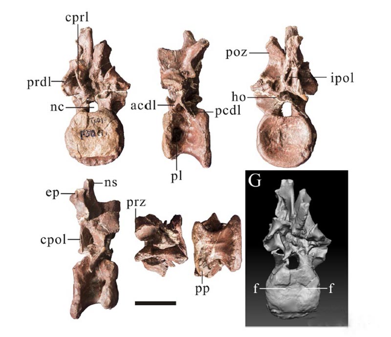 博天堂集团(btt)官网-918博天堂,人生就是博