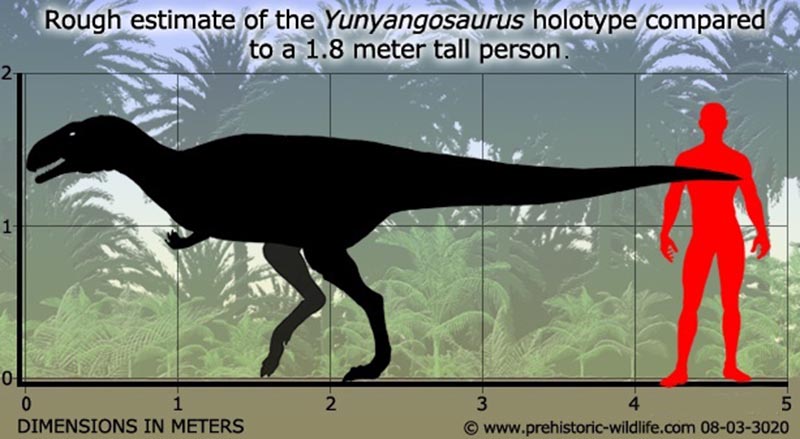 博天堂集团(btt)官网-918博天堂,人生就是博