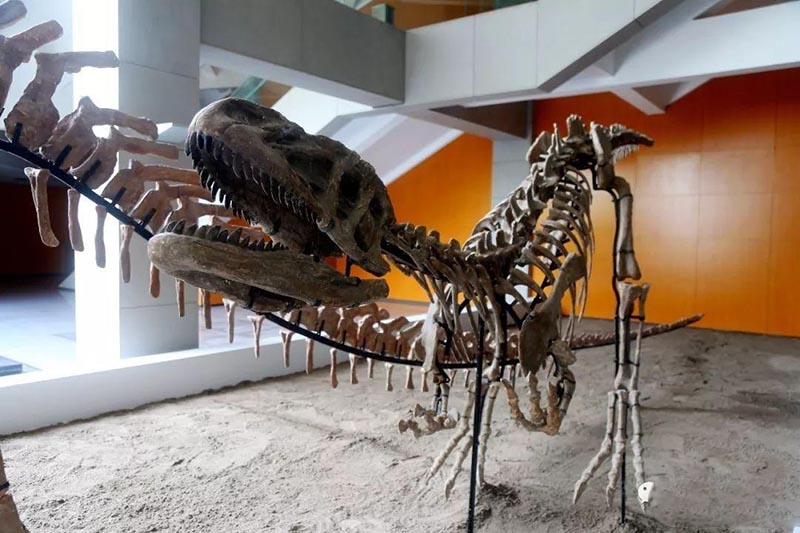 博天堂集团(btt)官网-918博天堂,人生就是博