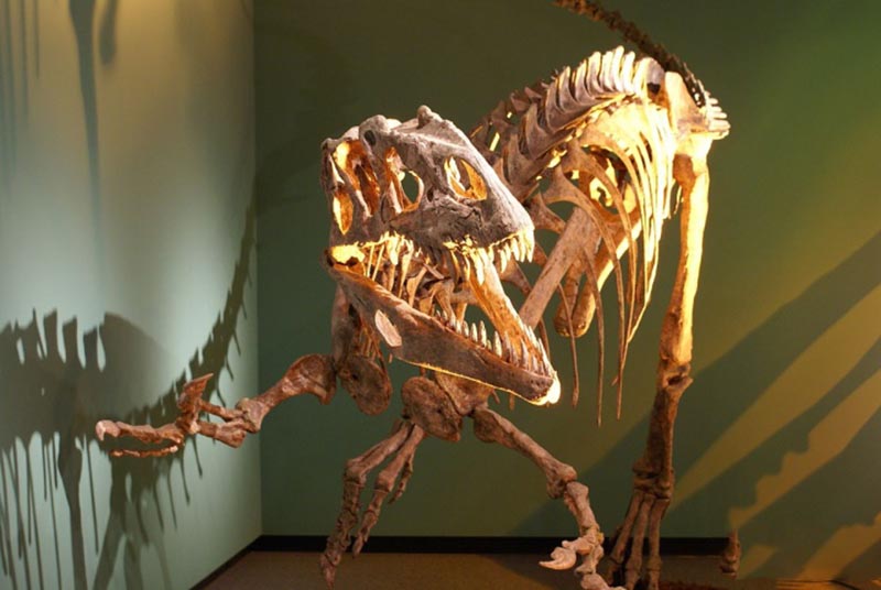 博天堂集团(btt)官网-918博天堂,人生就是博