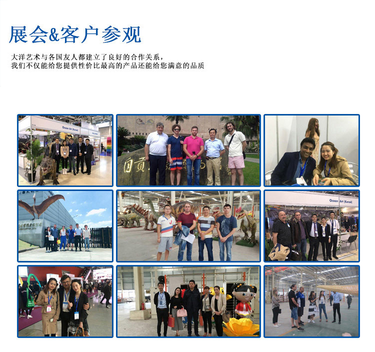 大洋恐龙服，，，，，，恐龙服案例