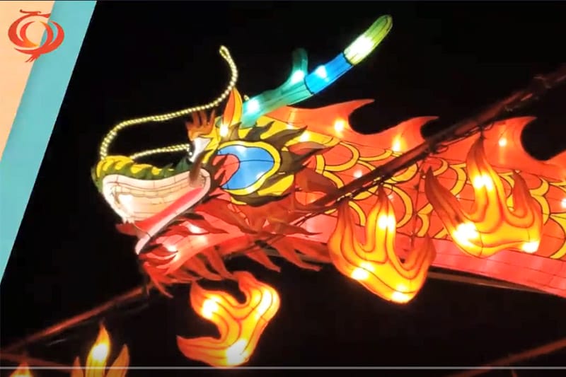 大型彩灯灯会，，，，，，，美国灯会案例赏析