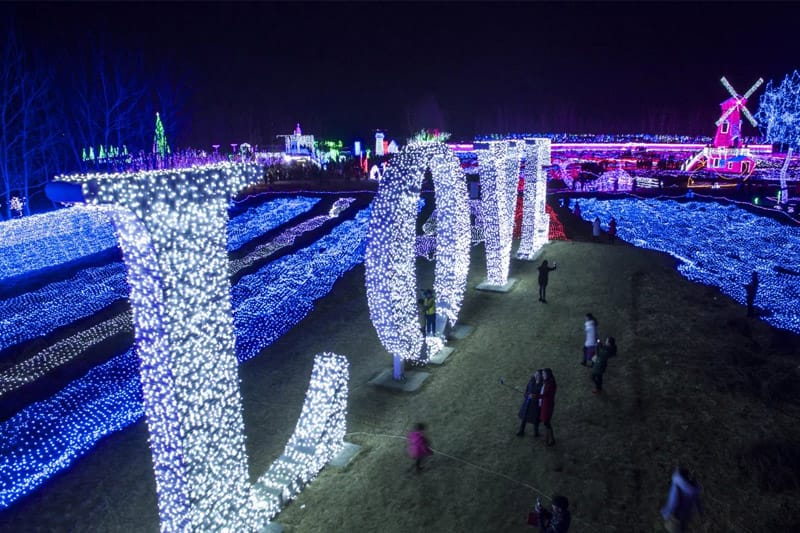 节日彩灯定造-户表大型宫灯-动物新春花灯
